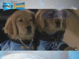 Pull the Paw - Space Buddies