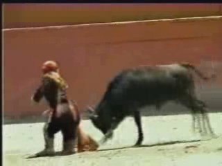 Midget Bullfighter