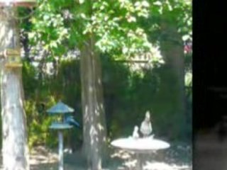 Vernon East Hill View Rancher Okanagan RealEstate Video Tour