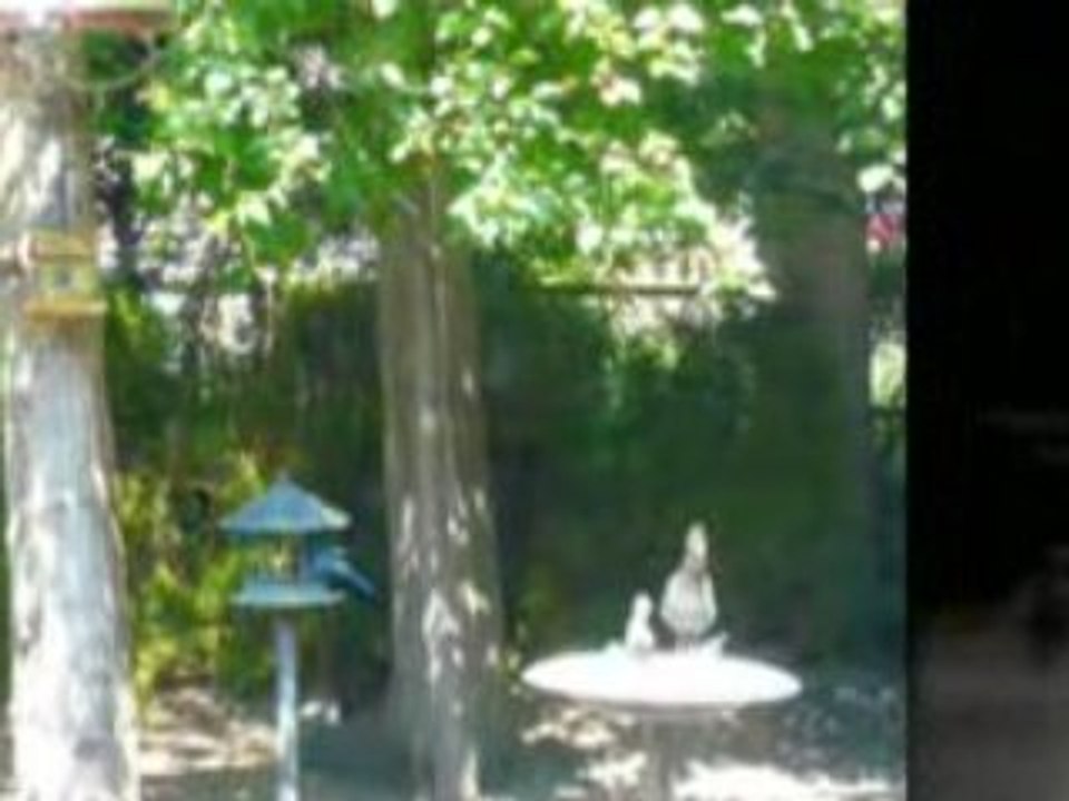 Vernon East Hill View Rancher Okanagan RealEstate Video Tour