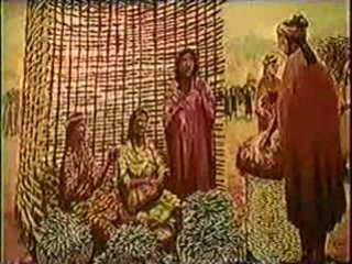 La Ciudad Sagrada de caral - Perú  (3 de 3)