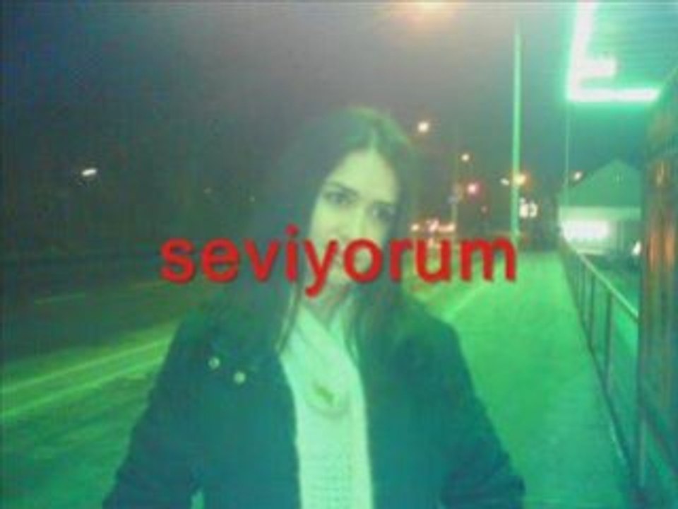 AYSEGULEROL2008