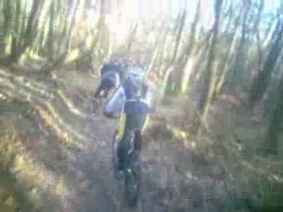 Hivernale Larchant 2009 - Descente avec tandem