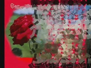 AHMET KURT SENDEN BAŞKA SEVEMEDİM