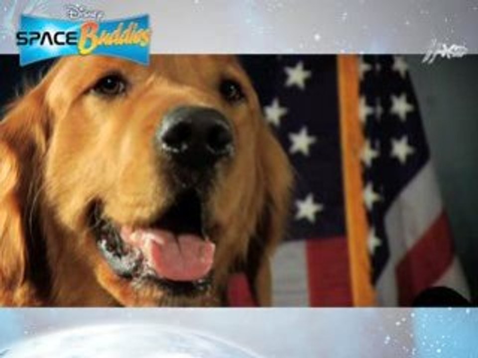 Meet The Presidents New Dog