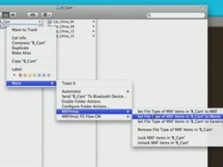 Native P2 Editing in Final Cut Pro - MXF4mac : Creative COW