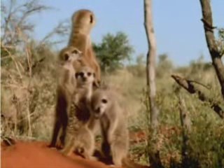 Lundi matin au travail