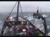 Sea Shepherd ship Steve Irwin engages whalers