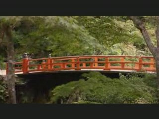 SynX STUDIO - We are alone