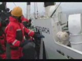 Sea Shepherd ship Steve Irwin confronts whalers Kaiko Maru