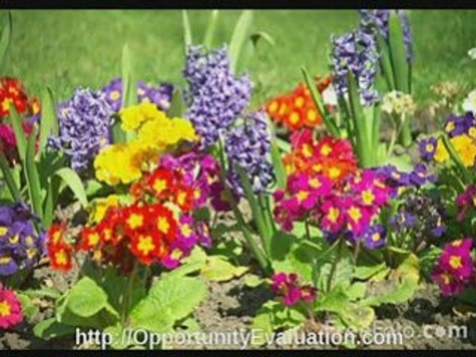 low-cost fast-payout opportunities