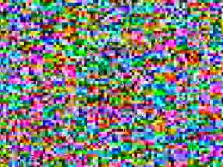 Dog Training Secrets