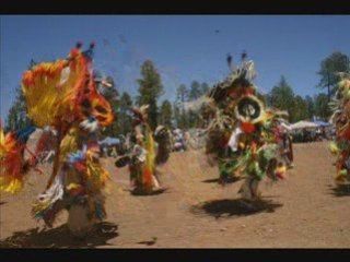 11th Annual Pow Wow in the Pines