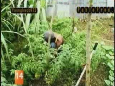 Tiwony - Prié Jah -