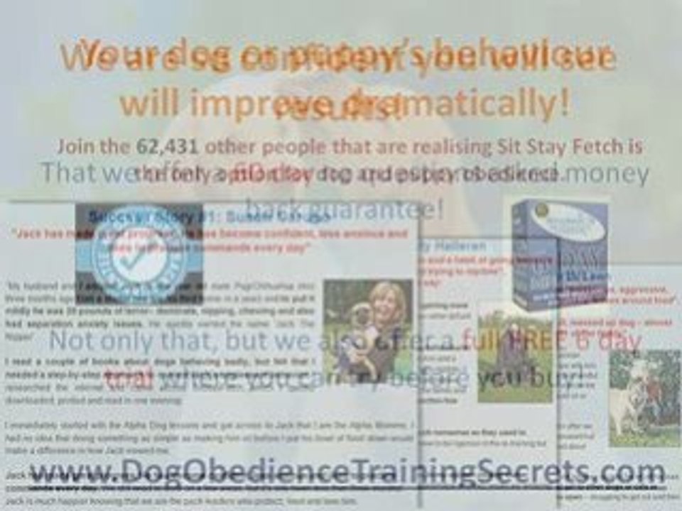 Obedience Training for Dogs