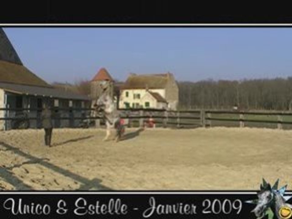 Unico, 31/01/09, Séance complète