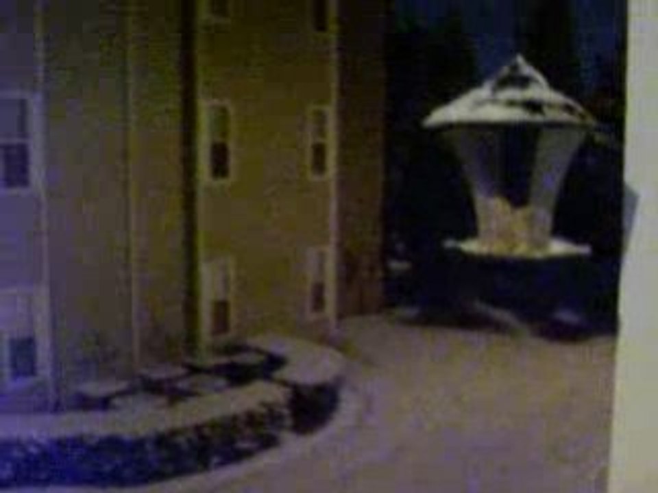 Snow 02/04/09