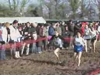 Championnat de Bretagne de cross-country