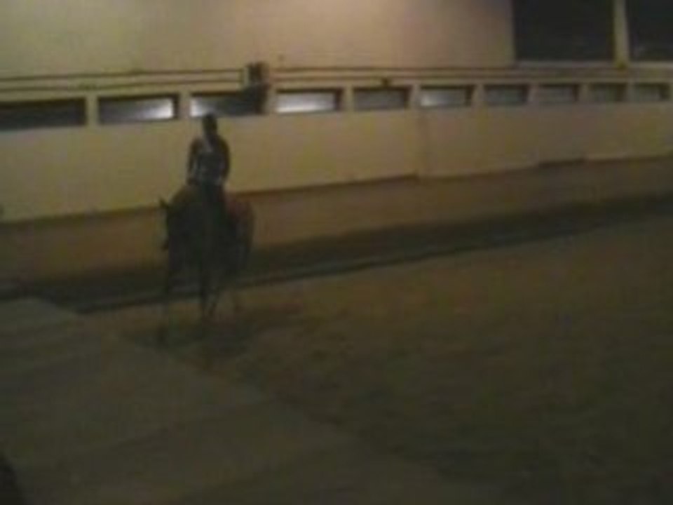 Cours dressage janvier 2009
