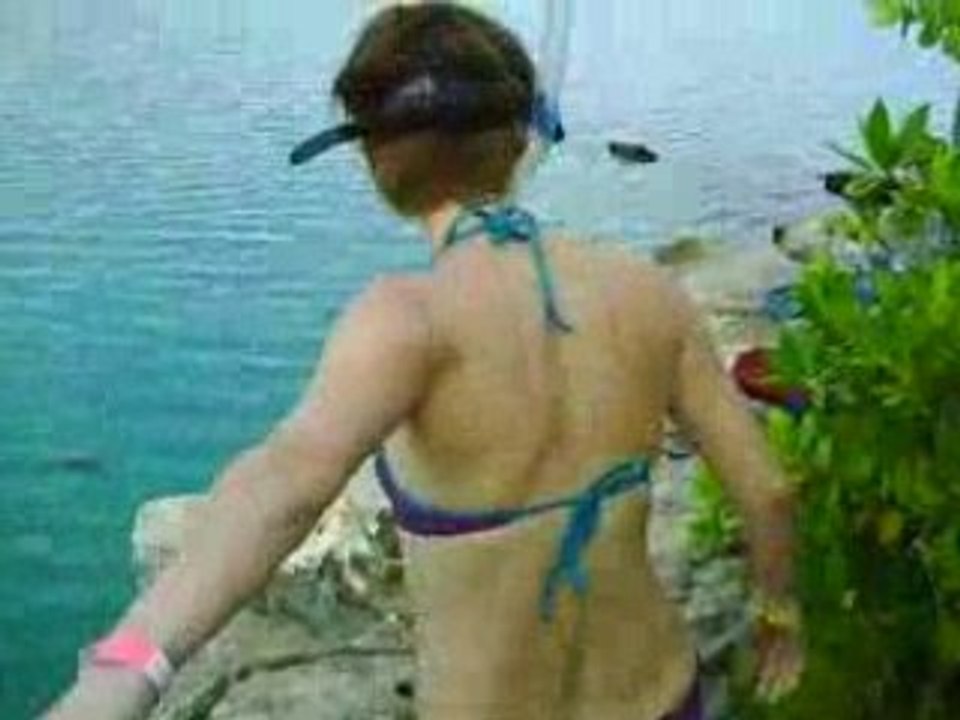mon plongeon