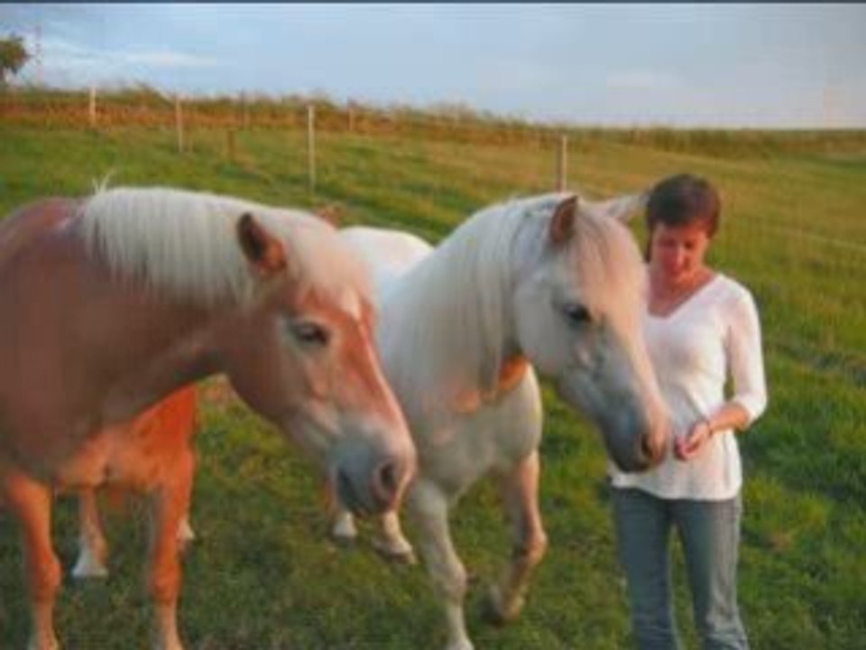Mon poney en  2008