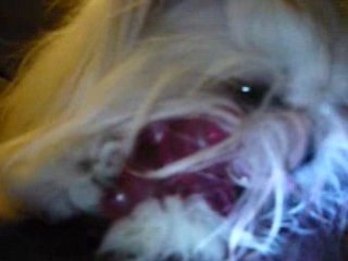 Canaliser son énergie