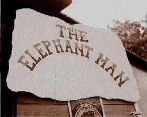 DEVIL' SMILE - Elephant Man