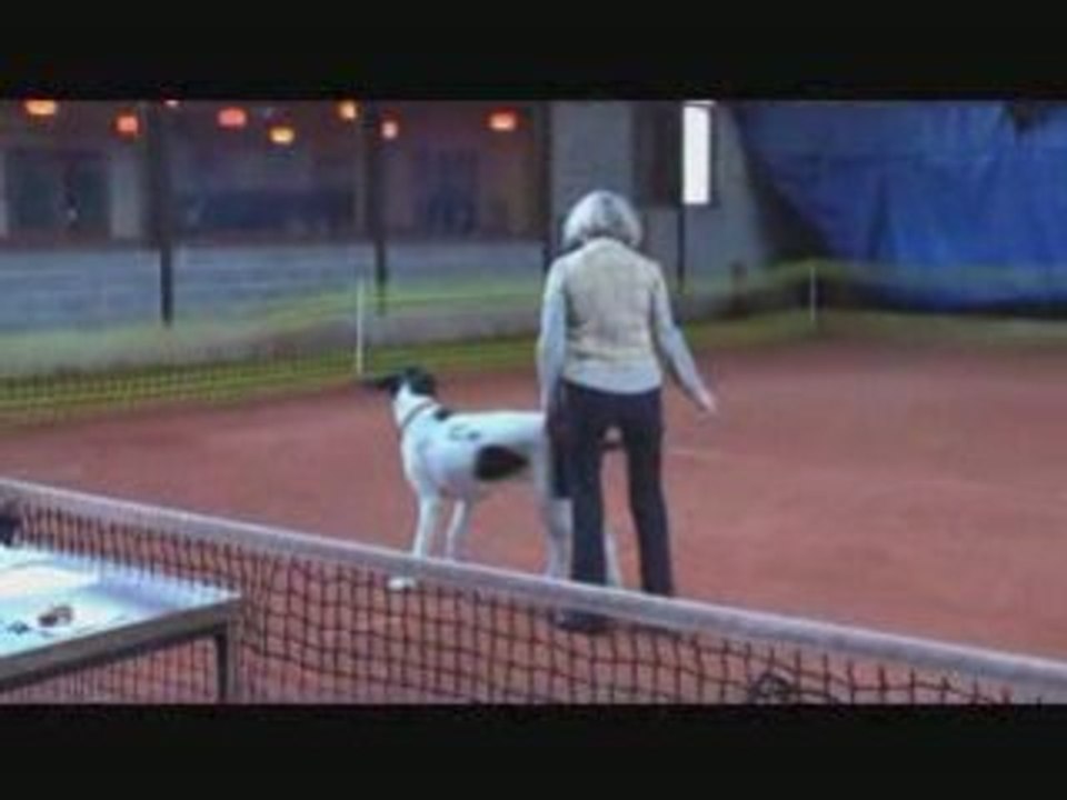 Virus et yolande 1er passage