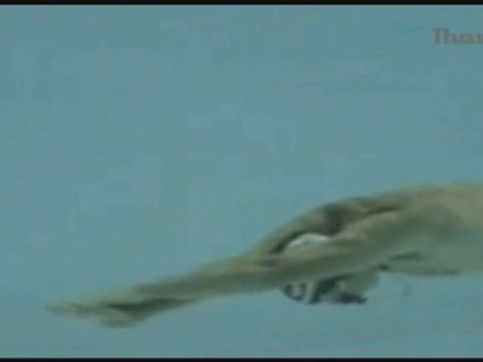 Frédéric Sessa, apnéiste sétois