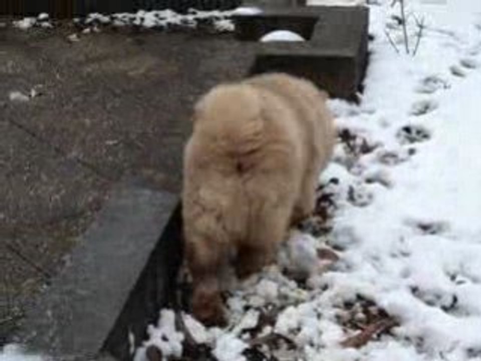 douchka le 4 fevrier 2009