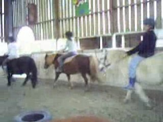 cour poney par mon tit frère