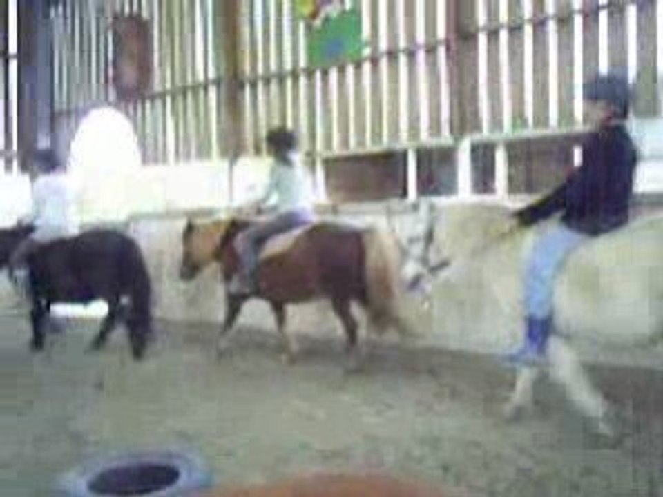 cour poney par mon tit frère
