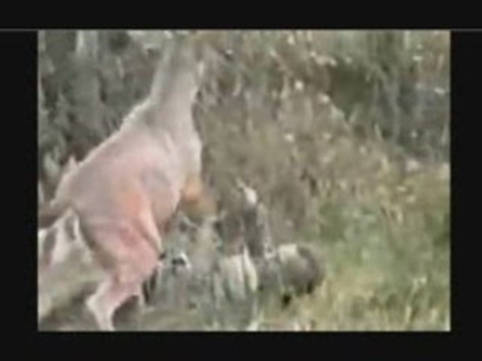 Chasseur fail ahah