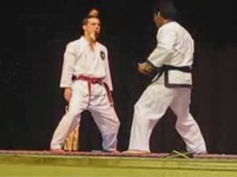 Master Yu Numchuks