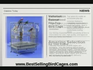 Parrot Cages Questions Answered