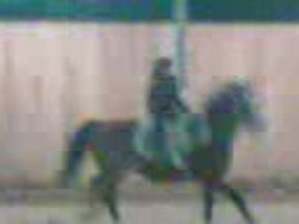 Alix voltige :)
