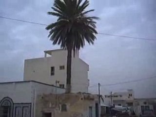 Maharès en hiver ( 2ème partie )