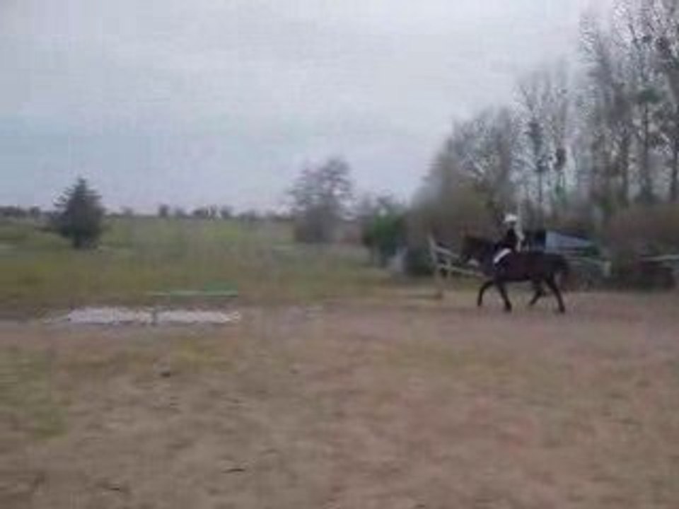 Moi et gambade