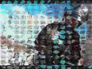 hommage aux pompiers