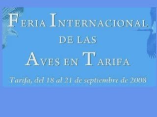 Cocn. en la Feria Internacional de las Aves en Tarifa - 2008