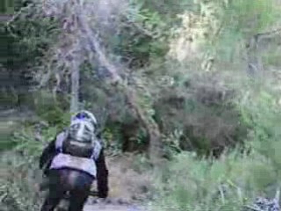 L'Abadie VTT ( caméra embarquée)