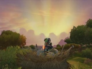 Trail of Broken Hearts