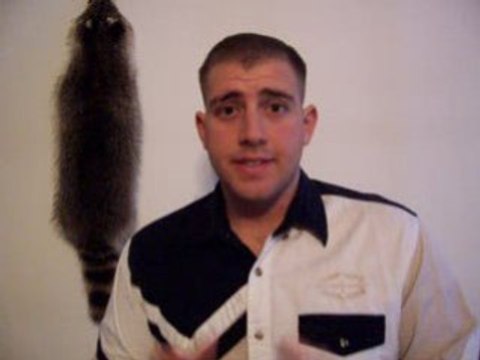 Do you want 3900 dollors income (good info)