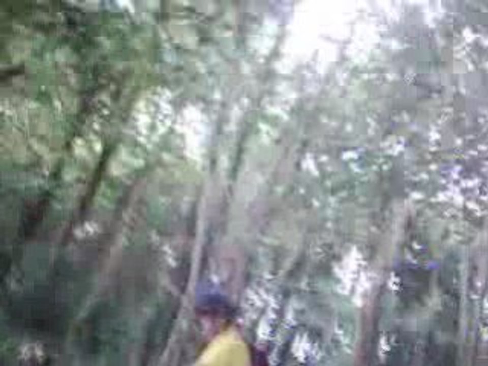 05-VTT en suivi