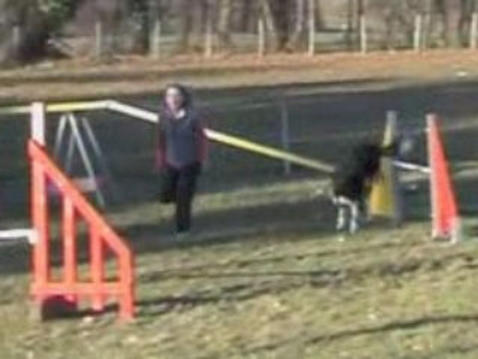 Ficelle - agility training