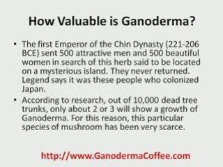 Enter a descriptive keyword-loaded title here!