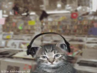 dj cat Dj kediler very  www.sensizalem.net