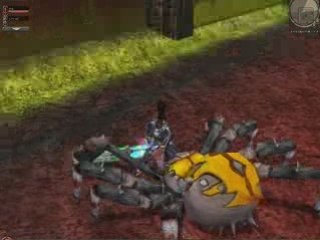 Metin2.US yvo kill Queen Spier v1 (cave1)