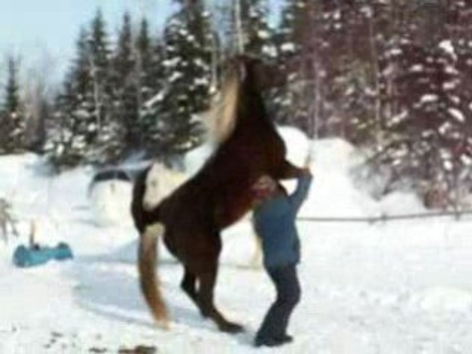 Nirvana essai d'apprendre a marché debut! un tout début