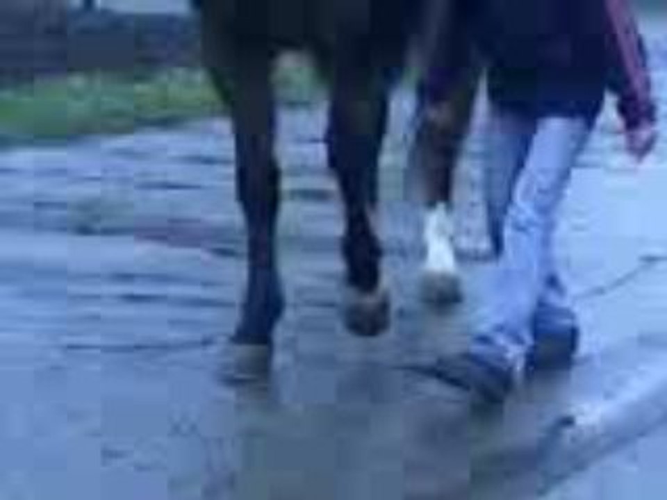 Vidéo-0003